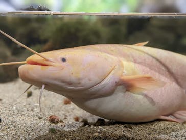 城崎マリンワールドに投稿された画像（2022/5/3）