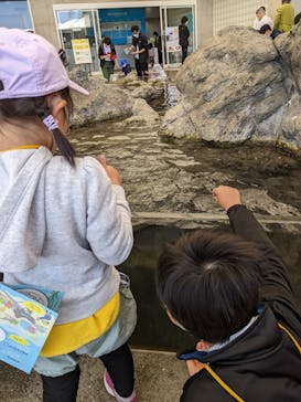 城崎マリンワールドに投稿された画像（2022/5/3）