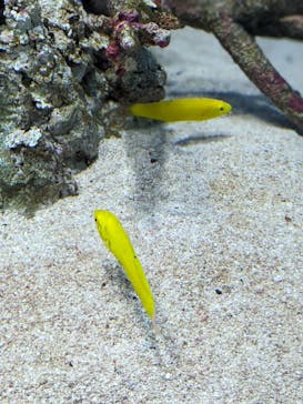 城崎マリンワールドに投稿された画像（2022/5/3）