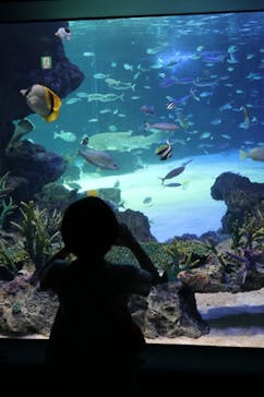 サンシャイン水族館に投稿された画像（2022/5/3）