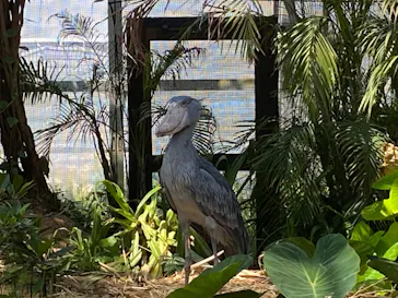 神戸どうぶつ王国に投稿された画像（2022/5/3）