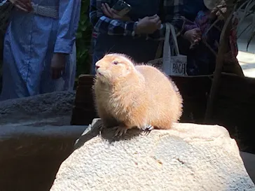 神戸どうぶつ王国に投稿された画像（2022/5/3）