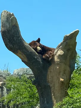 神戸どうぶつ王国に投稿された画像（2022/5/3）