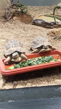 サンシャイン水族館に投稿された画像（2022/5/3）