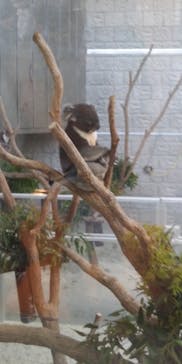 淡路ファームパーク イングランドの丘に投稿された画像（2022/5/3）