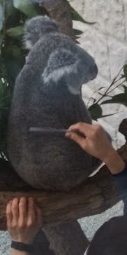 淡路ファームパーク イングランドの丘に投稿された画像（2022/5/3）