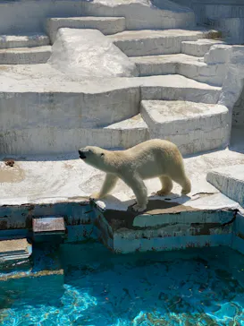 天王寺動物園に投稿された画像（2022/5/3）