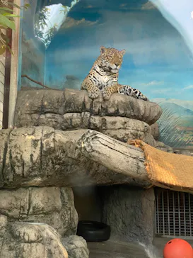 天王寺動物園に投稿された画像（2022/5/3）