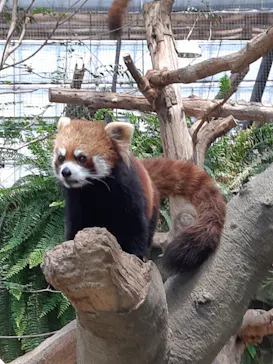 神戸どうぶつ王国に投稿された画像（2022/5/3）