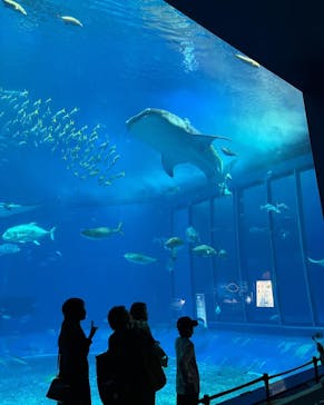 沖縄美ら海水族館に投稿された画像（2022/5/3）