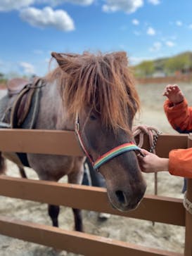 那須どうぶつ王国に投稿された画像（2022/5/4）