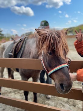 那須どうぶつ王国に投稿された画像（2022/5/4）