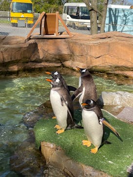 那須どうぶつ王国に投稿された画像（2022/5/4）