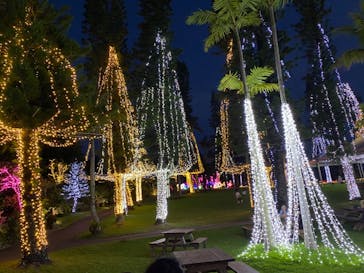 美らヤシパークオキナワ・東南植物楽園に投稿された画像（2022/5/4）
