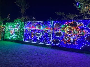 美らヤシパークオキナワ・東南植物楽園に投稿された画像（2022/5/4）