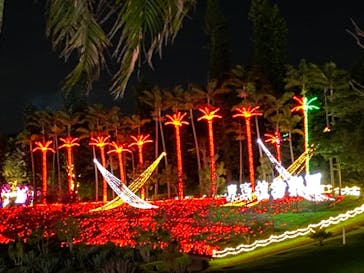 美らヤシパークオキナワ・東南植物楽園に投稿された画像（2022/5/4）