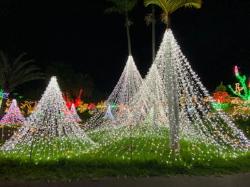 美らヤシパークオキナワ・東南植物楽園に投稿された画像（2022/5/4）