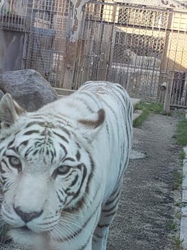 東武動物公園に投稿された画像（2022/5/4）