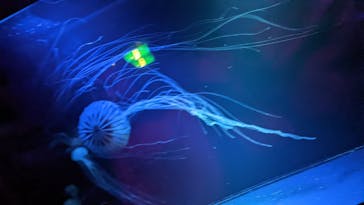 九十九島水族館海きららに投稿された画像（2022/5/4）