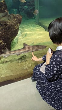 九十九島水族館海きららに投稿された画像（2022/5/4）