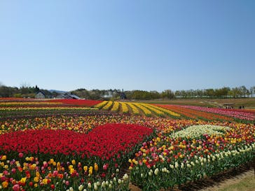 牧歌の里に投稿された画像（2022/5/4）