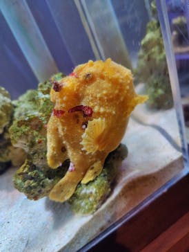 ゼロ距離水族館 伊勢シーパラダイスに投稿された画像（2022/5/4）