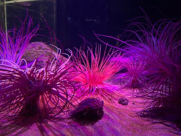 伊豆・三津シーパラダイスに投稿された画像（2022/5/4）