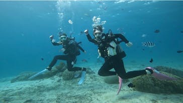 青の洞窟専門店　沖縄ダイビングショップ和に投稿された画像（2022/5/4）