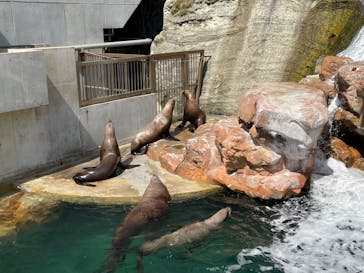 城崎マリンワールドに投稿された画像（2022/5/4）