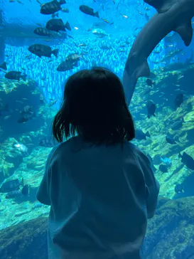 仙台うみの杜水族館に投稿された画像（2022/5/4）