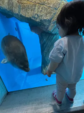 仙台うみの杜水族館に投稿された画像（2022/5/4）