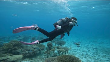 青の洞窟専門店　沖縄ダイビングショップ和に投稿された画像（2022/5/4）