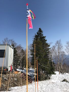 志賀高原マウンテンリゾートに投稿された画像（2022/5/4）