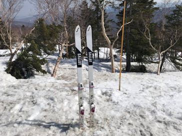 志賀高原マウンテンリゾートに投稿された画像（2022/5/4）