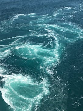 徳島県立 渦の道に投稿された画像（2022/5/4）