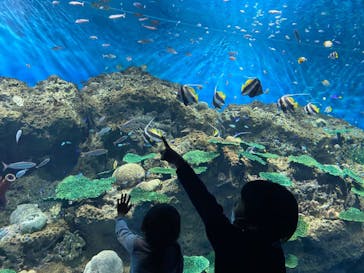 アクアワールド茨城県大洗水族館に投稿された画像（2022/5/4）
