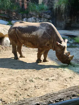 天王寺動物園に投稿された画像（2022/5/4）