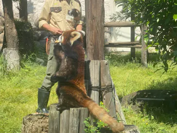 天王寺動物園に投稿された画像（2022/5/4）