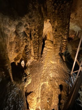 あぶくま洞に投稿された画像（2022/5/4）