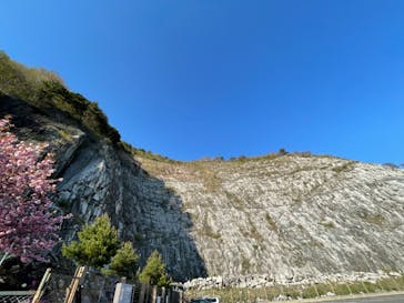 あぶくま洞に投稿された画像（2022/5/4）