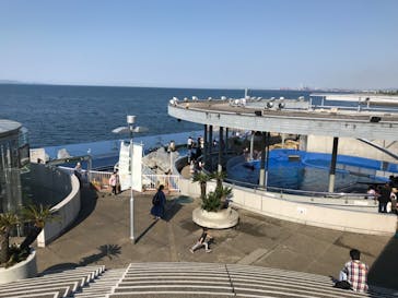 大分マリーンパレス水族館 「うみたまご」に投稿された画像（2022/5/4）