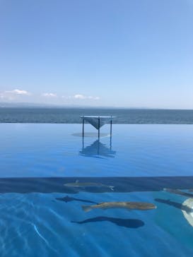 大分マリーンパレス水族館 「うみたまご」に投稿された画像（2022/5/4）