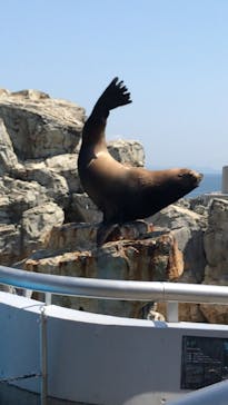 大分マリーンパレス水族館 「うみたまご」に投稿された画像（2022/5/4）
