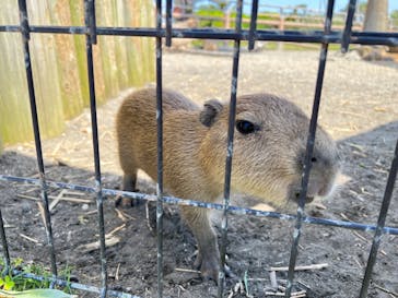 アロハガーデンたてやまに投稿された画像（2022/5/4）