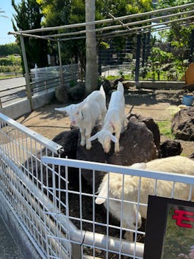 アロハガーデンたてやまに投稿された画像（2022/5/4）