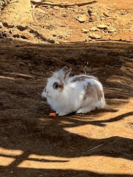 アロハガーデンたてやまに投稿された画像（2022/5/4）