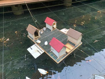 箱根湯本温泉 天成園に投稿された画像（2022/5/4）