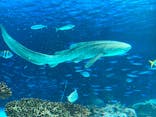 サンシャイン水族館に投稿された画像（2022/5/4）