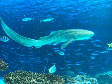 サンシャイン水族館に投稿された画像（2022/5/4）