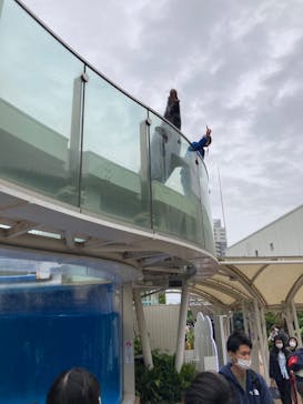 サンシャイン水族館に投稿された画像（2022/5/4）